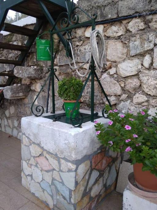 Dimitra's Cozy Apartament Dilináta